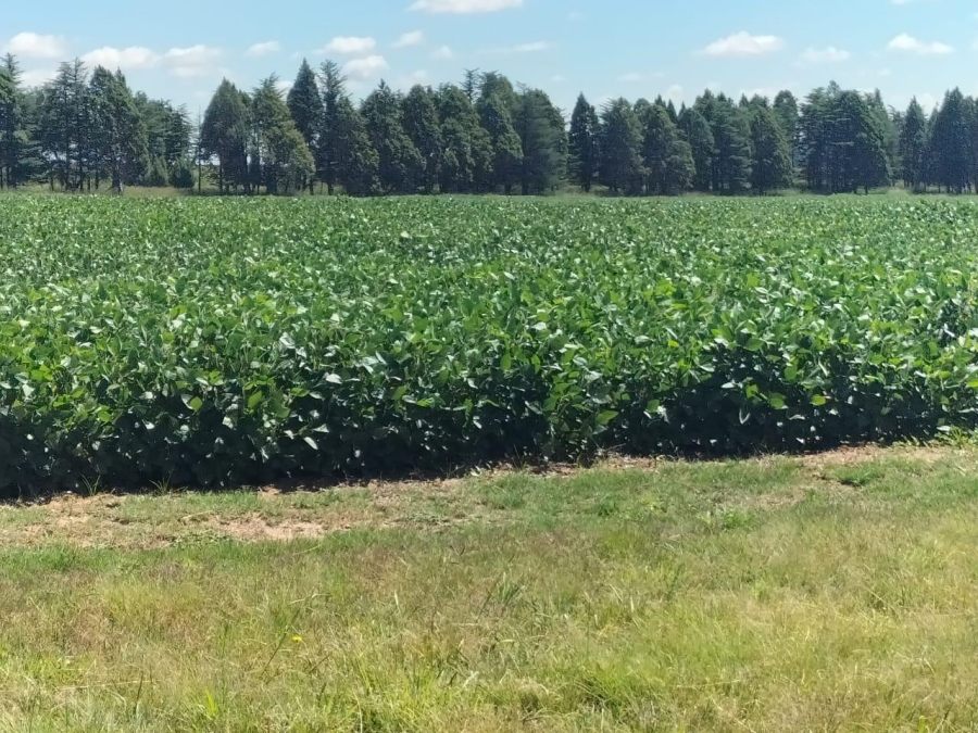 2 Bedroom Property for Sale in Bethlehem Rural Free State